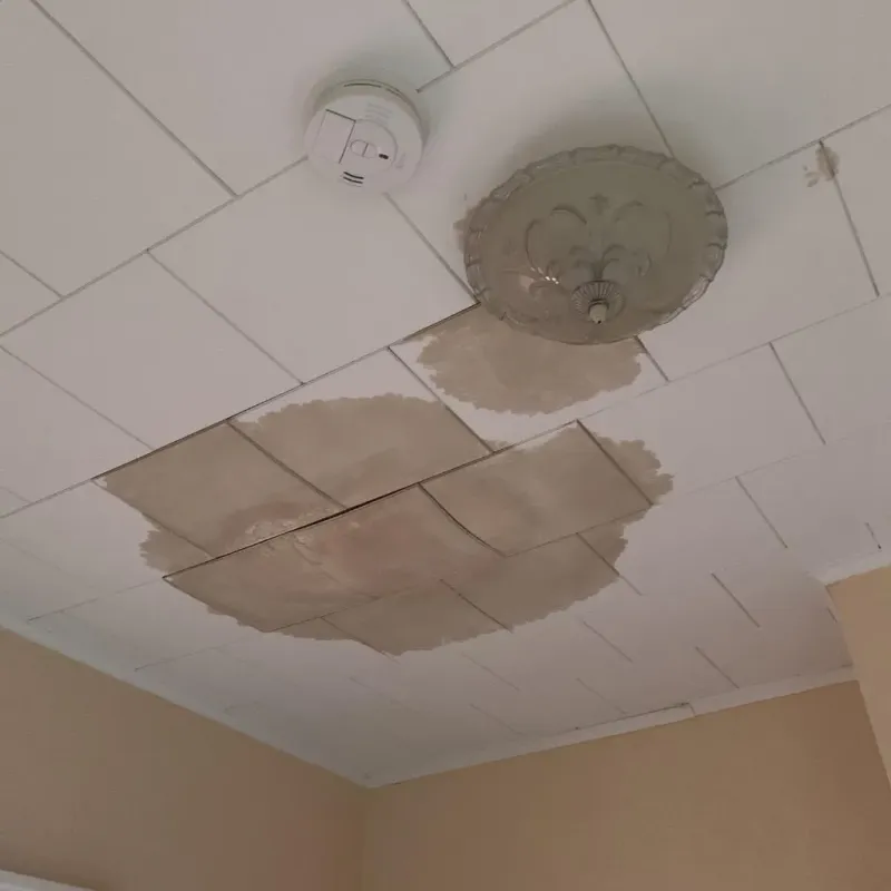Ceiling Water Damage Repair in Loyal, WI